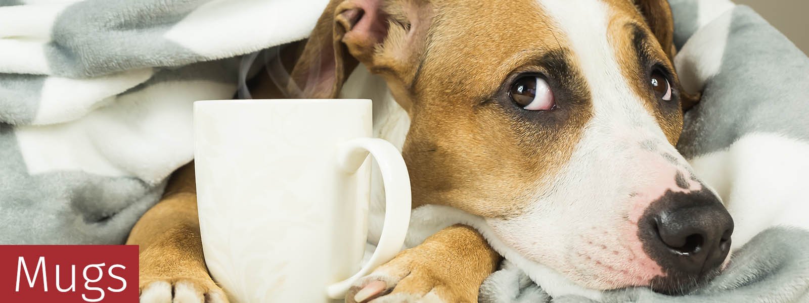 Dog Lover Gifts available at Dog Krazy Gifts – We have a huge range of Dog Themed Mugs available at www.dogkrazygifts.co.uk