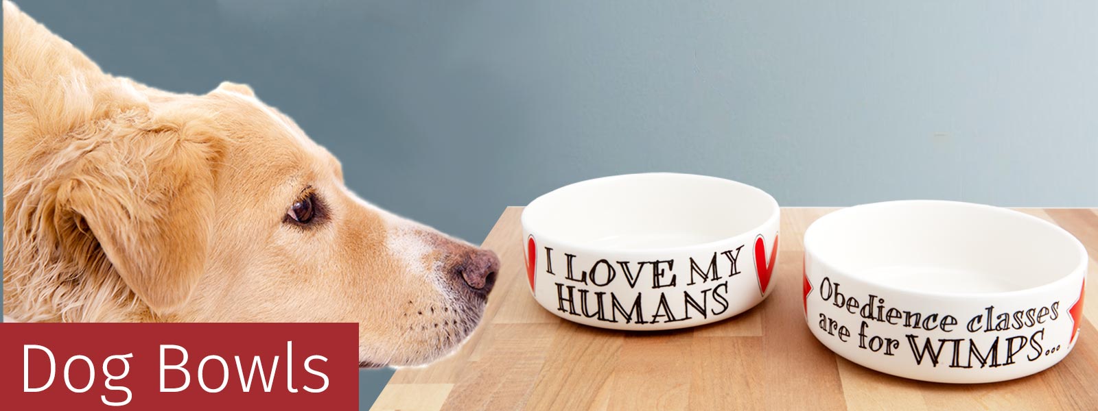 Dog Bowls
