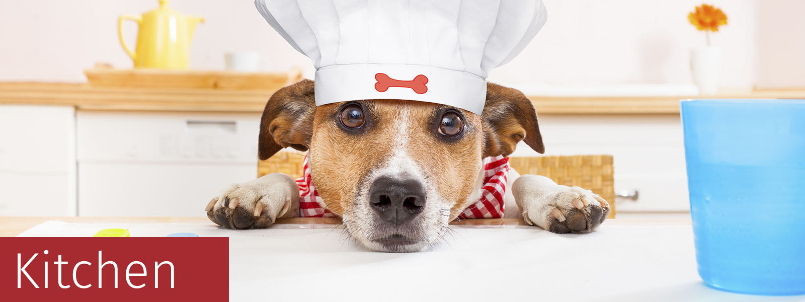 Kitchen Gifts For Dog Lovers