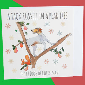 Dog Krazy Gifts - A Jack Russell In A Pear Tree - Part of the 12 Dogs of Christmas card collection available from DogKrazyGifts.co.uk