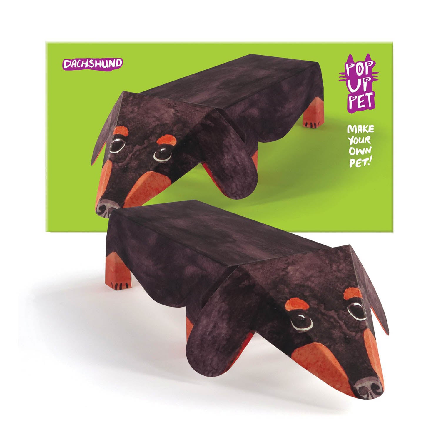 Dog Krazy Gifts - Dachshund Pop Up Pet, part of the range of Dachshund themed gifts available from DogKrazyGifts.co.uk