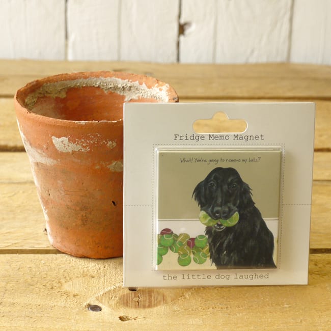 Dog Krazy Gifts - Remove Balls Magnet - part of the Little Dog Range available from DogKrazyGifts.co.uk