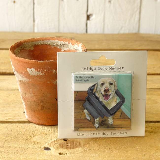 Dog Krazy Gifts - Bin There Fridge Magnet - part of the Little Dog Range available from DogKrazyGifts.co.uk